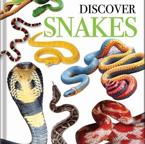 Discover Snakes Book