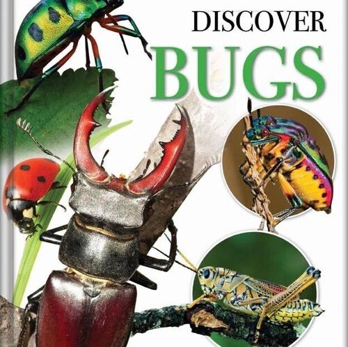 Discover Bugs Book