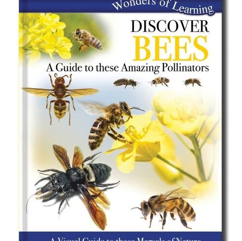 Discover Bees Book