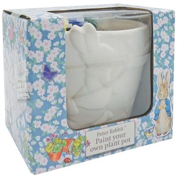 Peter Rabbit de Beatrix Potter peignez votre propre pot de fleurs