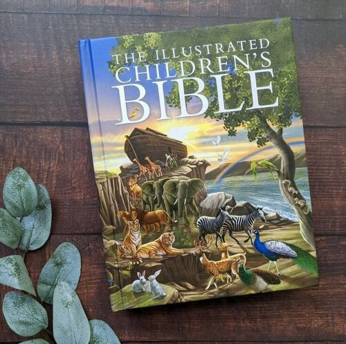 The Illustrated Children's Bible Book