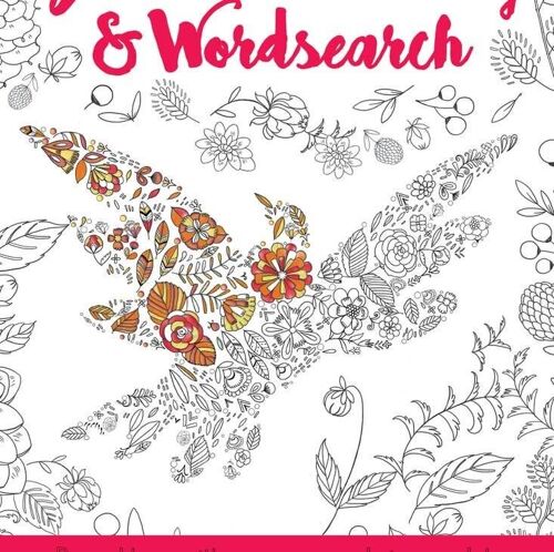 Biblical Colouring and Wordsearch - Dove Book