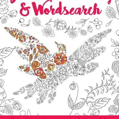 Biblical Colouring and Wordsearch - Dove Book