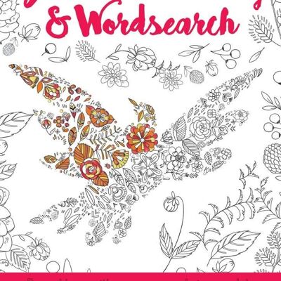 Biblical Colouring and Wordsearch - Dove Book