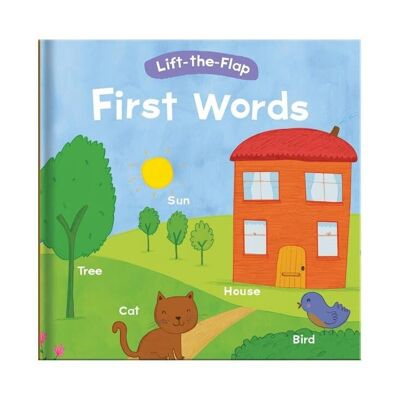Lift-the-Flap Book - First Words