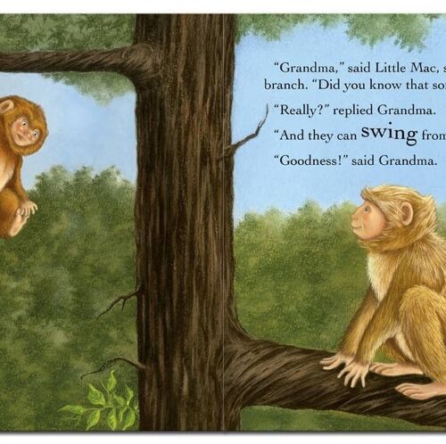 Grandma's Little Monkey Book