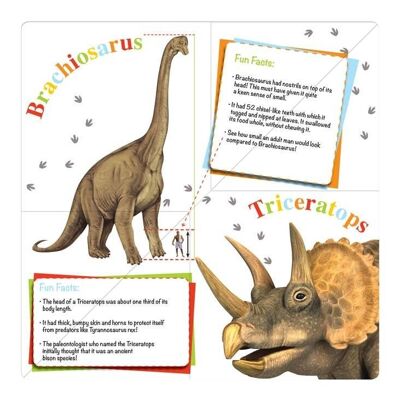 My Fold-Out Book of Dinosaurs