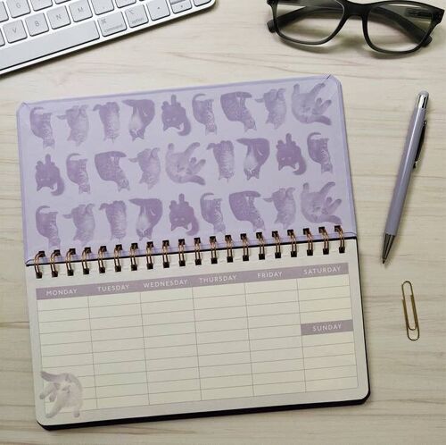 Weekly Planner & Pen Set - Cats