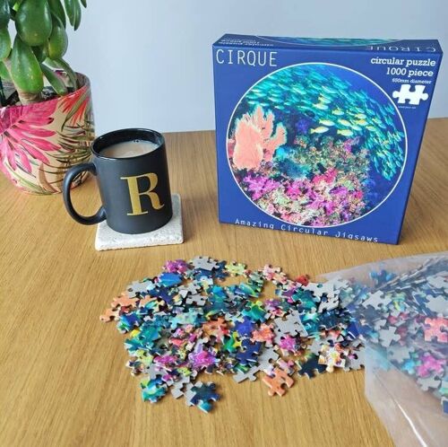 1000 Piece Jigsaw - Tropical Ocean