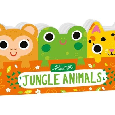 Meet the Jungle Animals - Mini Board Book Set