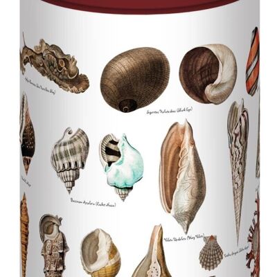 500 Piece Jigsaw in a Tube - Seashells