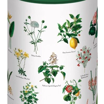 500 Piece Jigsaw in a Tube - Botany Plants and Flowers