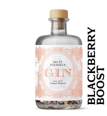 Faites votre propre gin - Édition Blackberry Boost - Bouteille de 500 ml 2