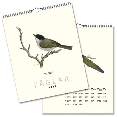 Calendario da parete Uccelli 2024