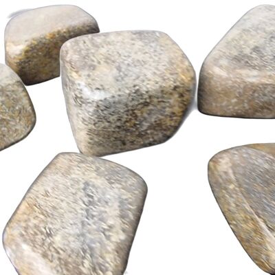 Tumblestone d’os fossile de dinosaure - Tumblestone fossile