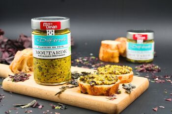 Moutarde aux algues bretons - sauce bbq - pot 200 g 2
