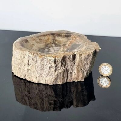 Ciotola pietrificata in legno fossile - 2 ciotole