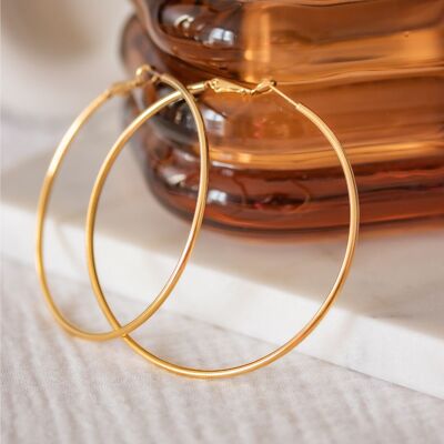 Isaure gold earrings