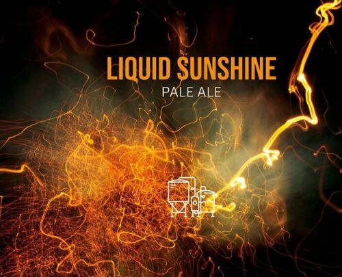 Bière Blonde Bio Liquid Sunshine 33cl