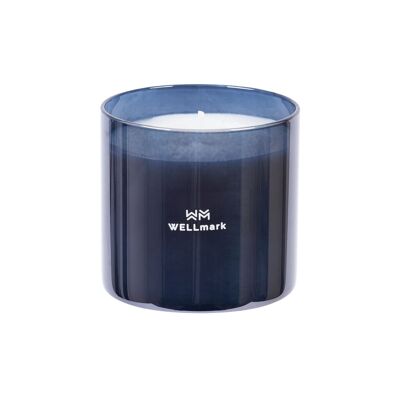 Medium scented candle Brave Night