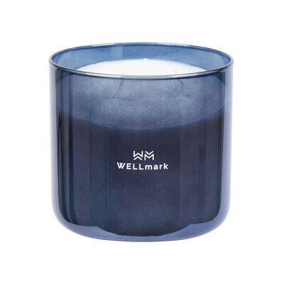 Large scented candle Brave Night