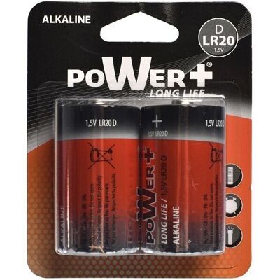 LR20 batteries in blister pack of 2