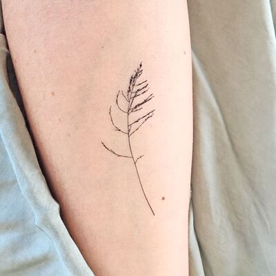 tatuaje temporal de hierba salvaje