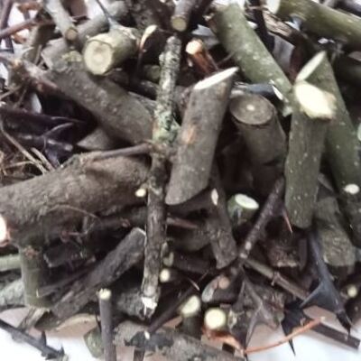 Copeaux de bois de Poivrier dit de Sichuan