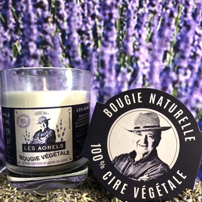 Vegetable Candle with Lavender Essential Oil from Agnels 160g