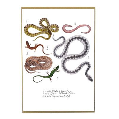 Reptilia Art Print