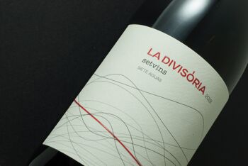 La Divisoria 90% Garnacha Caladoc+10% Bobal, Vin Rouge Singulier avec une intervention minimale 3