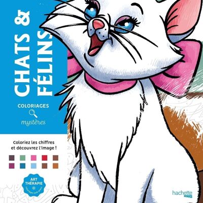 COLORING BOOK - Disney Cats and Felines mysteries