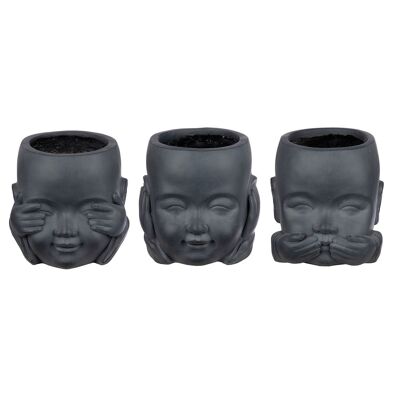 Buddha plant pot 3 assorted