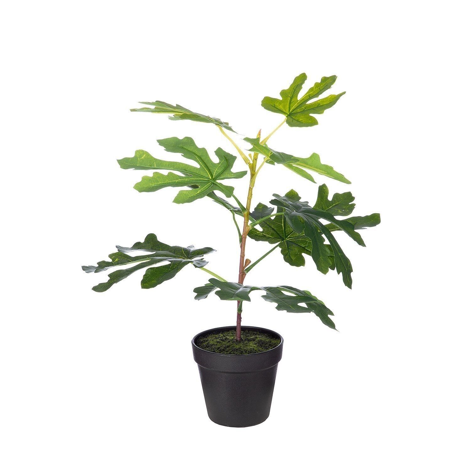 Kunstpflanze "Feigenbaum"