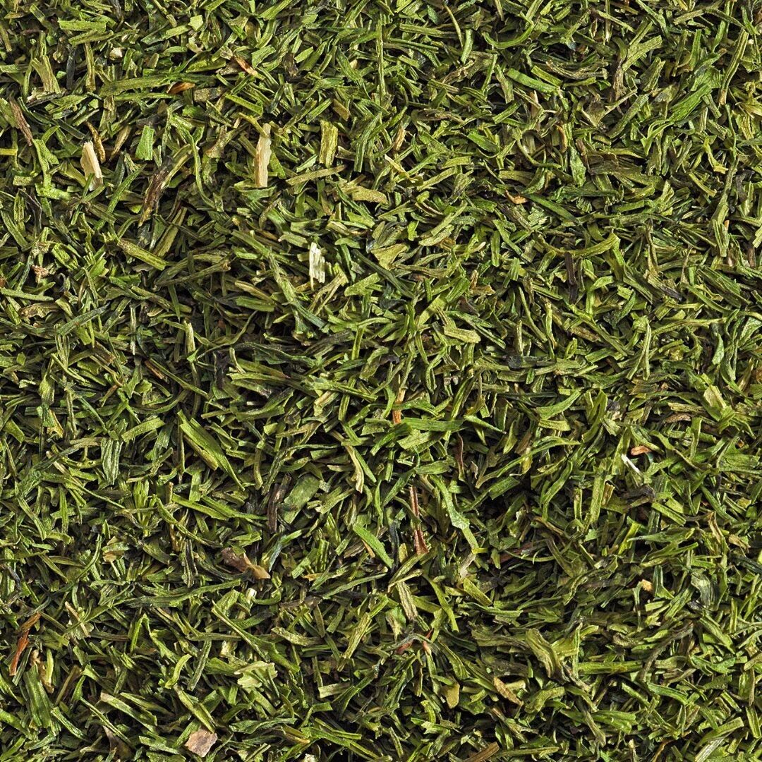 Parte superiore dell'aneto