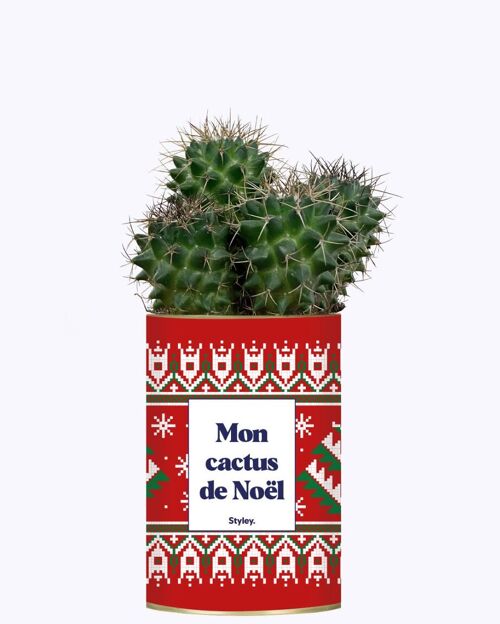 Mon Cactus de Noël - Idée cadeau de Noël - Plante en pot personnalisé