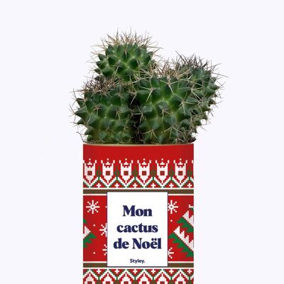 Mi cactus de Navidad - Idea de regalo de Navidad - Planta en maceta personalizada