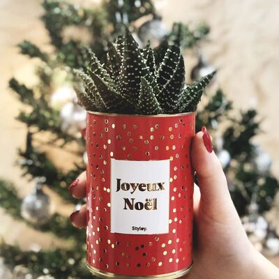 Planta suculenta en maceta - Feliz Navidad - Idea de regalo de Navidad - Idea de decoración navideña