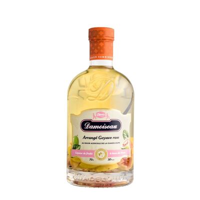 DAMOISEAU - Arranged Pink Guava - 30°