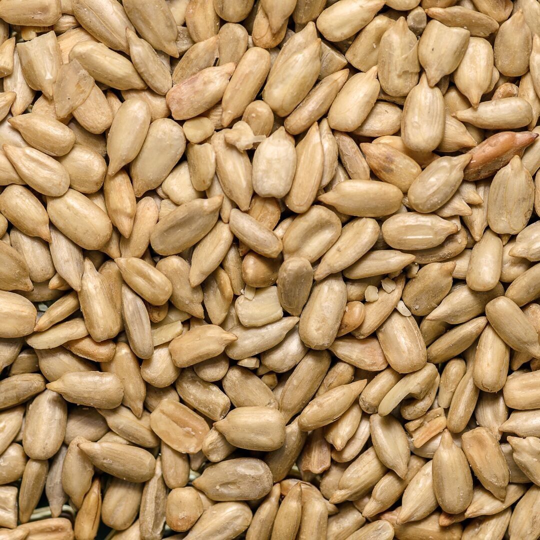 Graines de tournesol