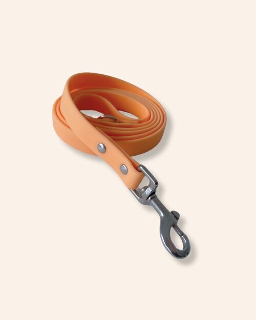 🔥 NEW | Laisse waterproof pour chien - couleur Pêche