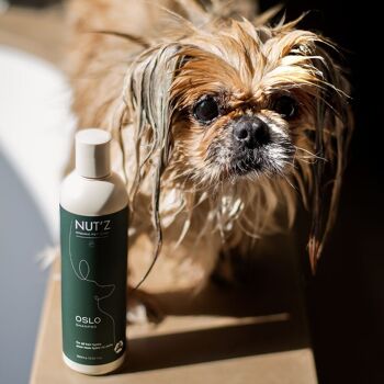 Shampoing pour chien doux universel OSLO - PACK 5+1 offert 2
