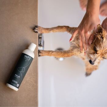 Shampoing pour chien peau sensible MAJA - PACK 5+1 offert 2