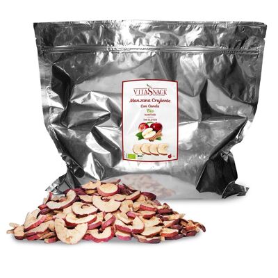 0,4 kg | GRANEL VitaSnack Manzana con Canela Crujiente | Apple and Cinnamon Crunch BULK | BIO