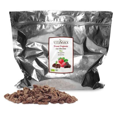 1kg | BULK VitaSnack Strawberry with Crunchy Chocolate | Strawberry and Chocolate Crunch BULK | BIO