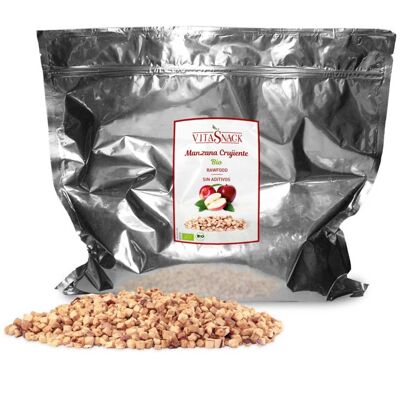 0,6 kg | GRANEL VitaSnack Manzana Cubitos Crujiente | Apple Cubes Crunch BULK | BIO