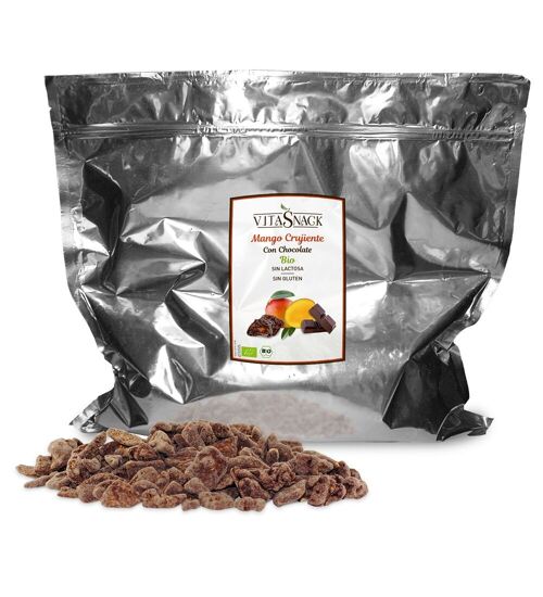 1 kg | GRANEL VitaSnack Mango con Chocolate Crujiente | Mango and Chocolate Crunch BULK | BIO