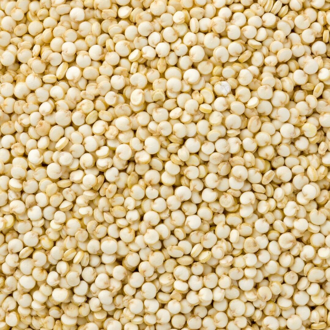 Quinoa bianca