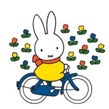 Livre enfant - Le vélo de Miffy 4