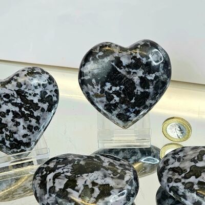 Coeur en cristal de Gabbro indigo